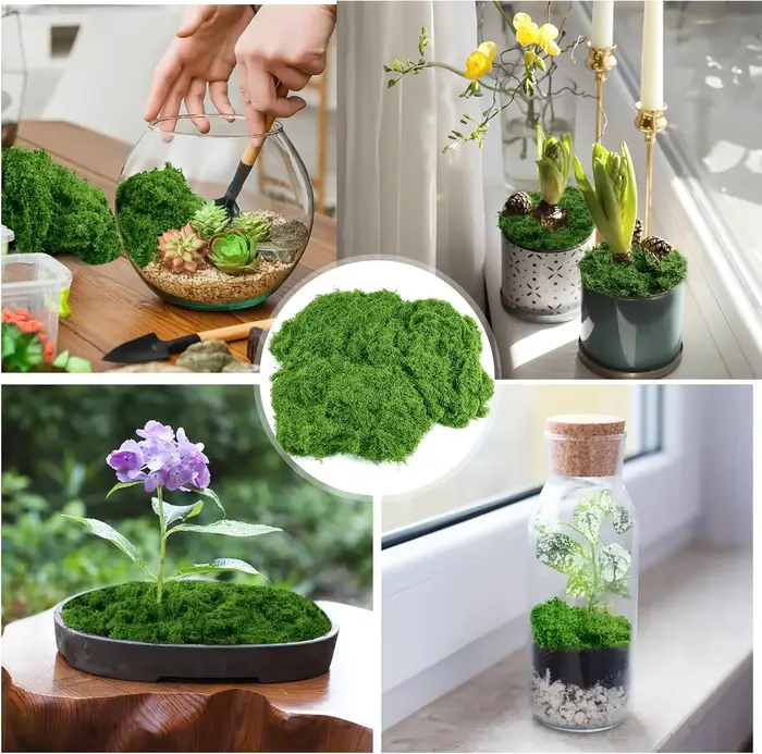 Plantes artificielles en pot de mousse verte