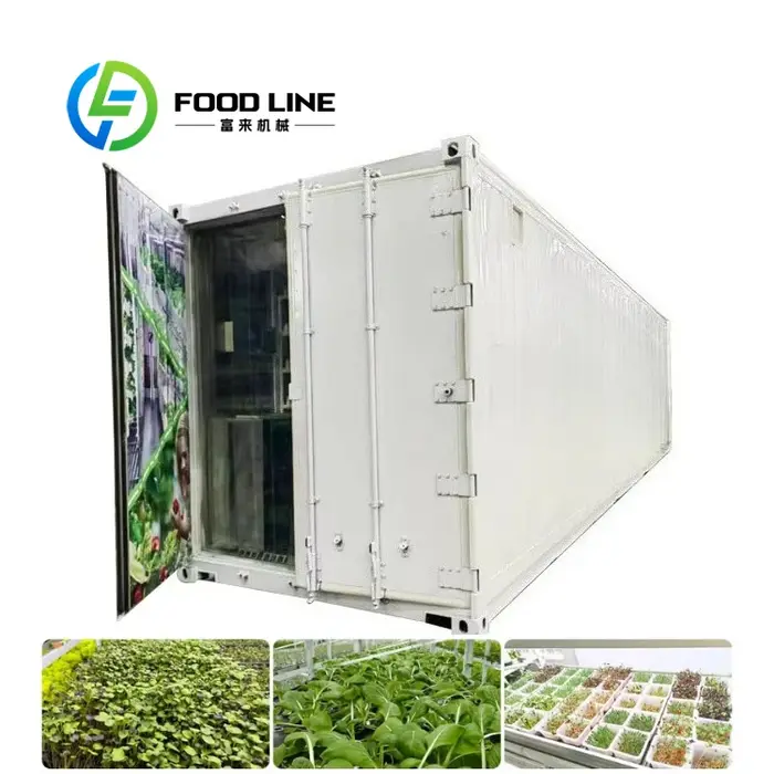 Système hydroponique vertical EBB pour la culture de légumes à feuilles, bac de culture pour plantes