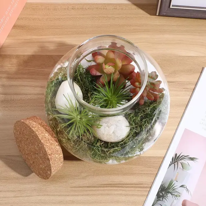 Terrarium en verre avec couvercle en liège