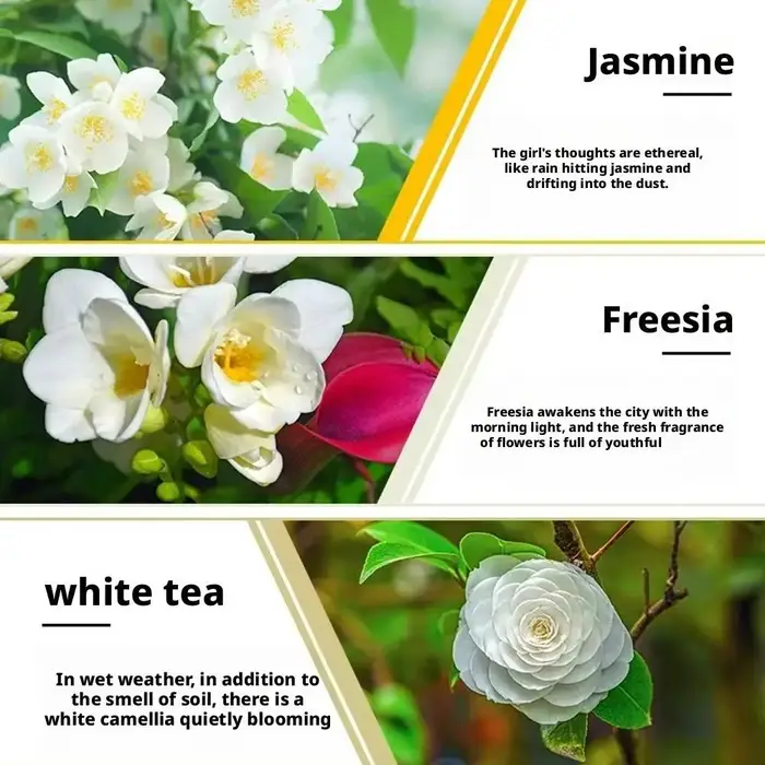 Huile essentielle saveur de fruits plante naturelle lavande ROSE citron menthe