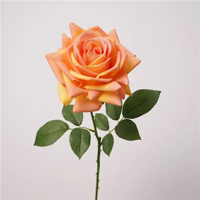 5 pièces sensation hydratante vraie touche Rose fleur fleurs artificielles décor de Mariage
