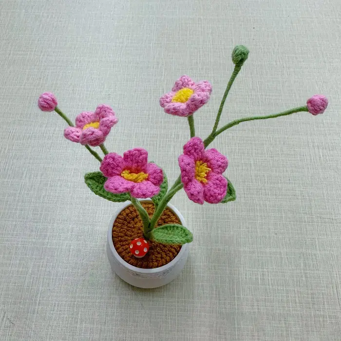 Pot de plante en crochet Oxalis fini à la main