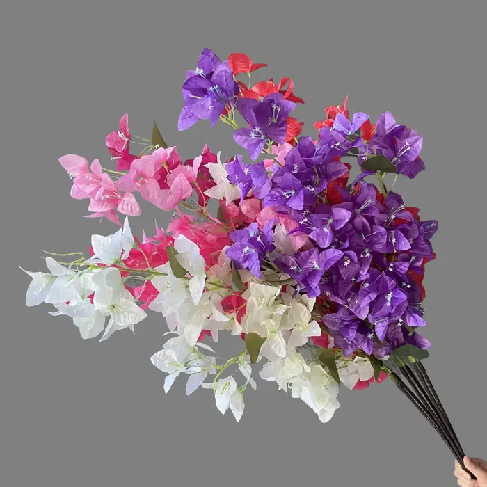 Simulation de Bouquet de bougainville