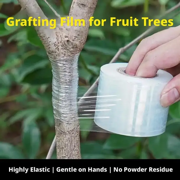 Ruban de greffage auto-adhésif extensible pour arbres fruitiers