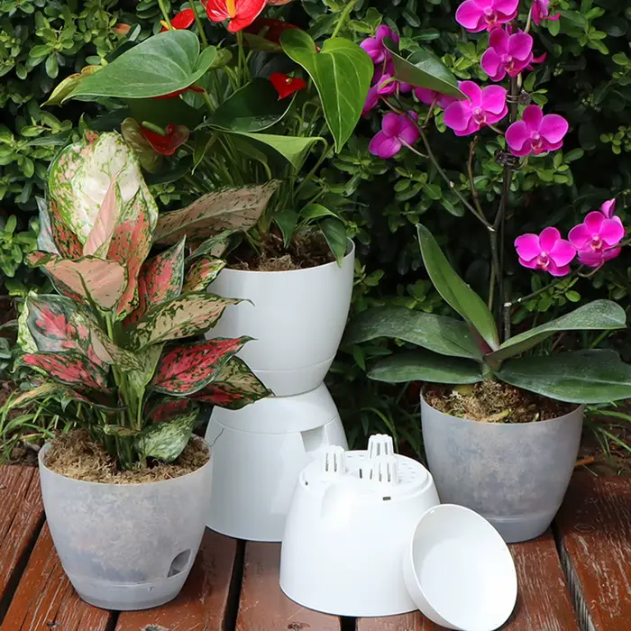 Pot d'orchidée transparent avec trous