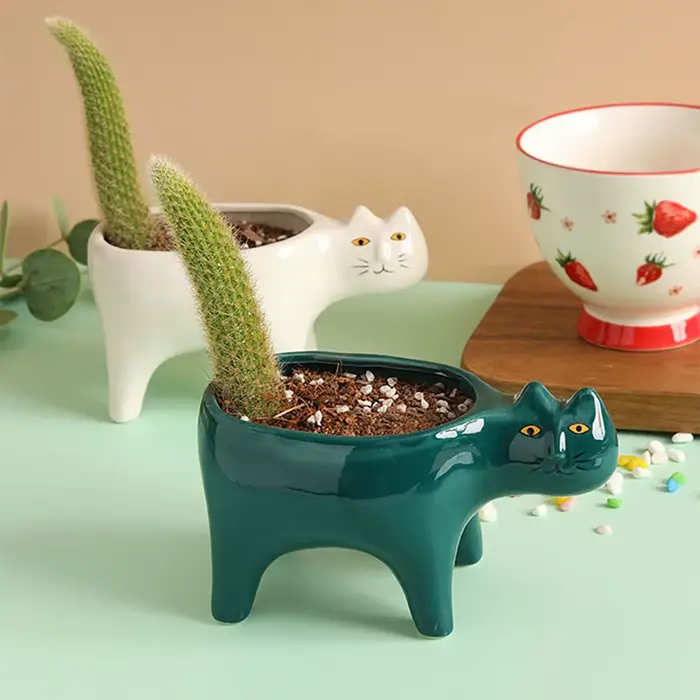 Pot de plantes Cactus en céramique