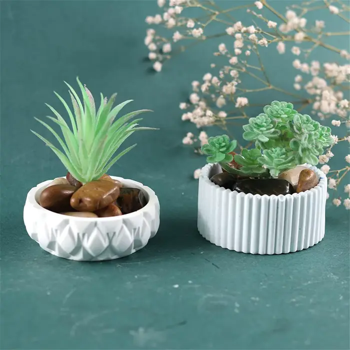 Pot de fleur succulente en Pot