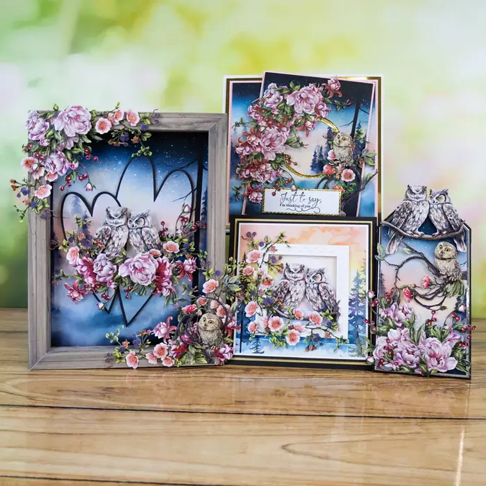 Joyeux anniversaire baies fleurs perchoir parfait plumes culbutant
