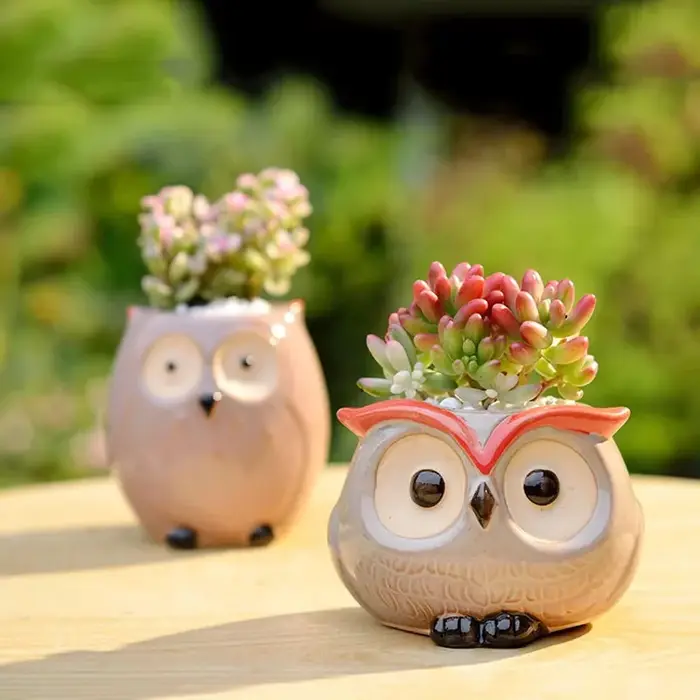Mini pot de fleurs hibou