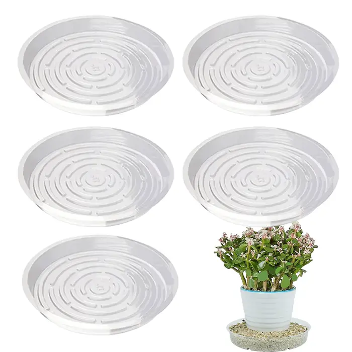 Plateau pour pot de plantes transparent 6/8/10 pouces