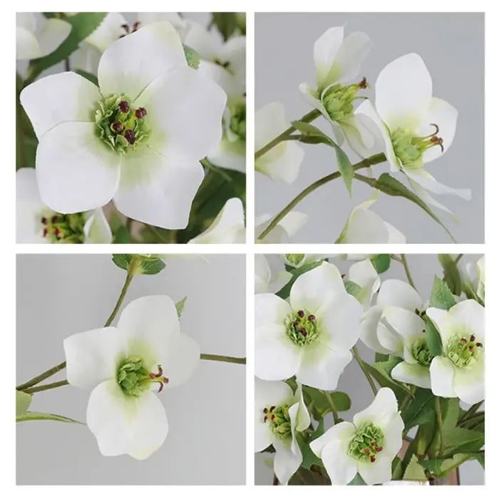 Branche de fleur de cloche de Noël