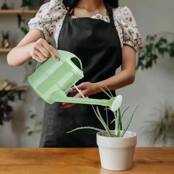 Arrosoir pour plantes de 1