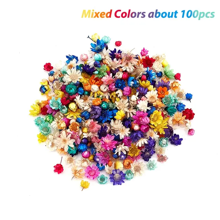 Fleurs séchées pour élection, résine xy, bricolage, artisanat d'art, bougie, bijoux, couvercle en ve