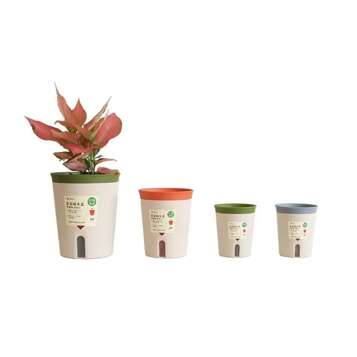 Pot de fleur hydroponique paresseux, pot de fleurs absorbant l'eau, pot de plante succulente, plastique, jardinière auto-arrosante, salon, décor de bureau