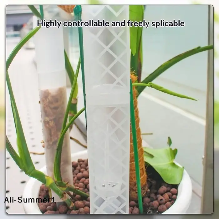 Support de croissance pour plantes en forme