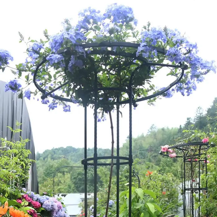 Treillis pour plantes grimpantes