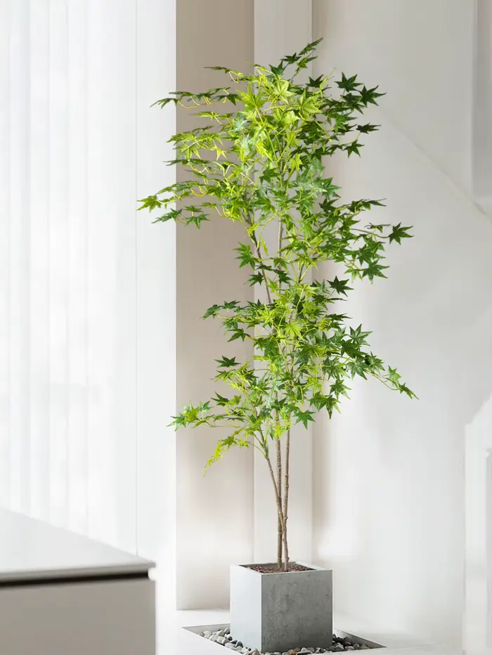 Fausses plantes japonaises artificielles en érable