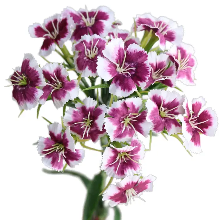 Fleurs d'œillet artificielles avec tige
