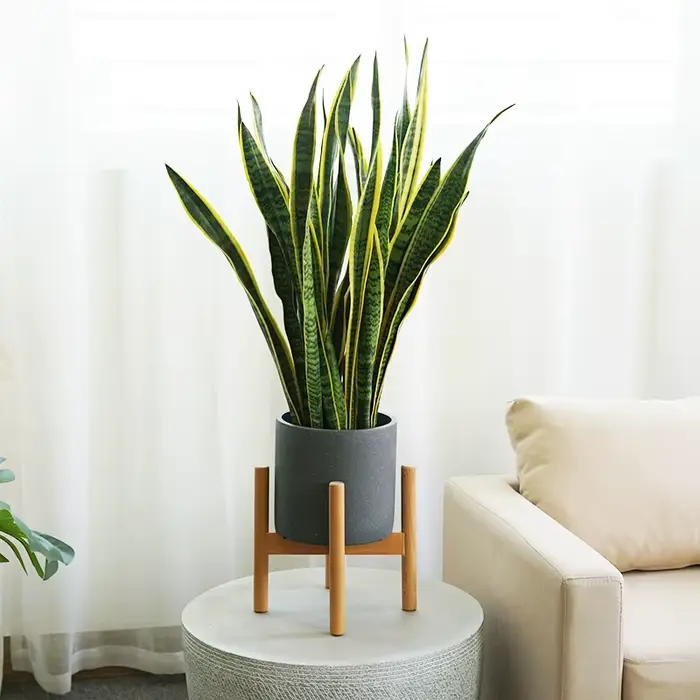 Moule pour jardin en béton pot de fleur