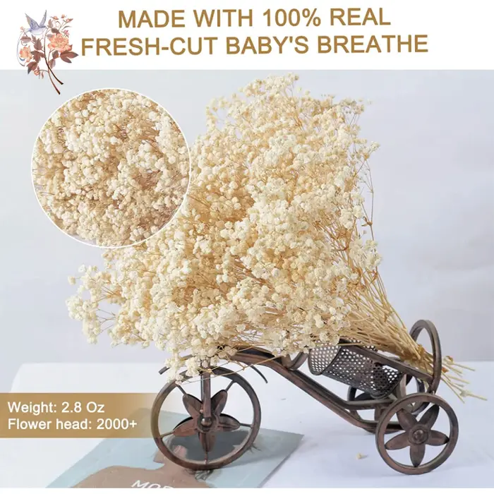 Bouquet de fleurs séchées pour bébé