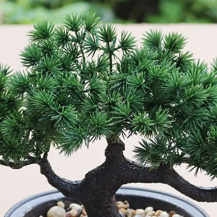 Plante Bonsaï Artificielle en Pot