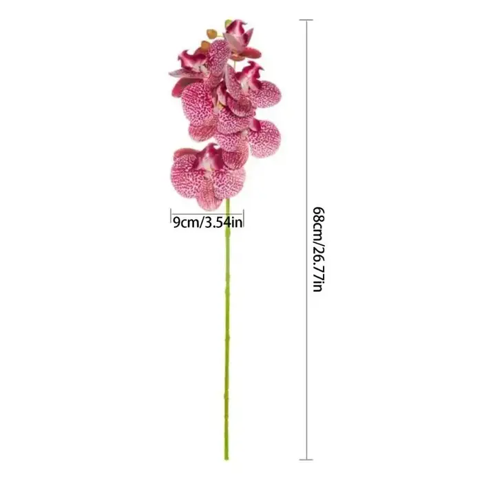 E8BD – lot 2 fleurs d'orchidées papillon