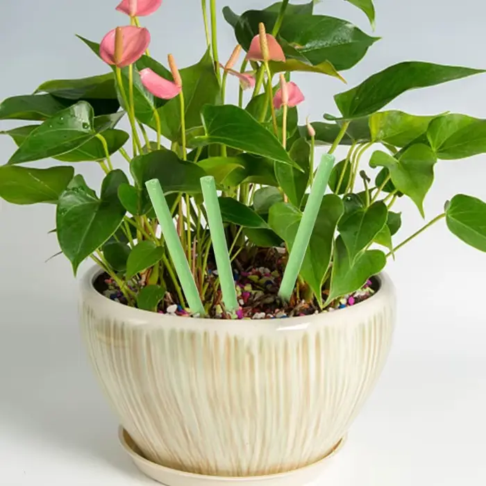 300/18 bâtonnets nutritifs pour plantes vertes