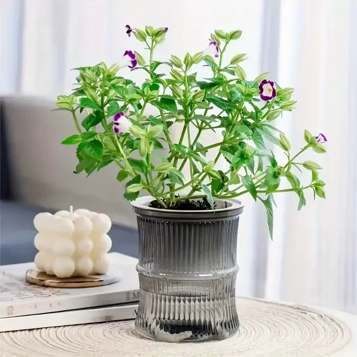 Pot de fleur hydroponique paresseux
