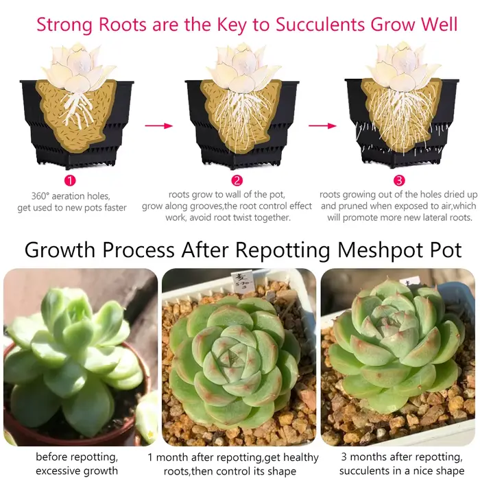 Meshpot-Pot carré pour plantes succulentes avec trous d'air