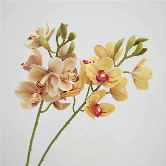 Cymbidium en Latex au Toucher Réel