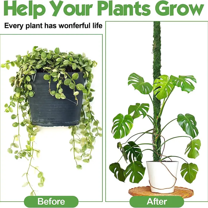 Poteau de mousse pliable pour plantes