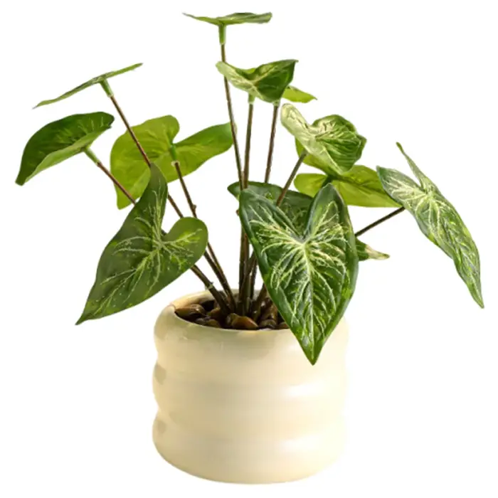 Plantes artificielles réalistes bonsaï élégant Simulation de la vie éternelle plante verte