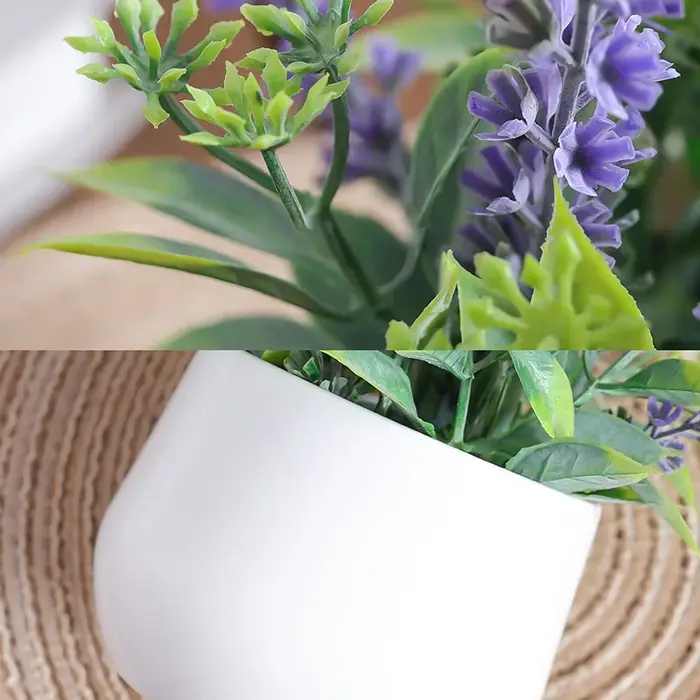 Simulation de plantes en pot