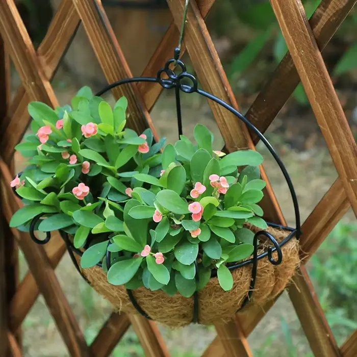Panier suspendu, pot de fleur