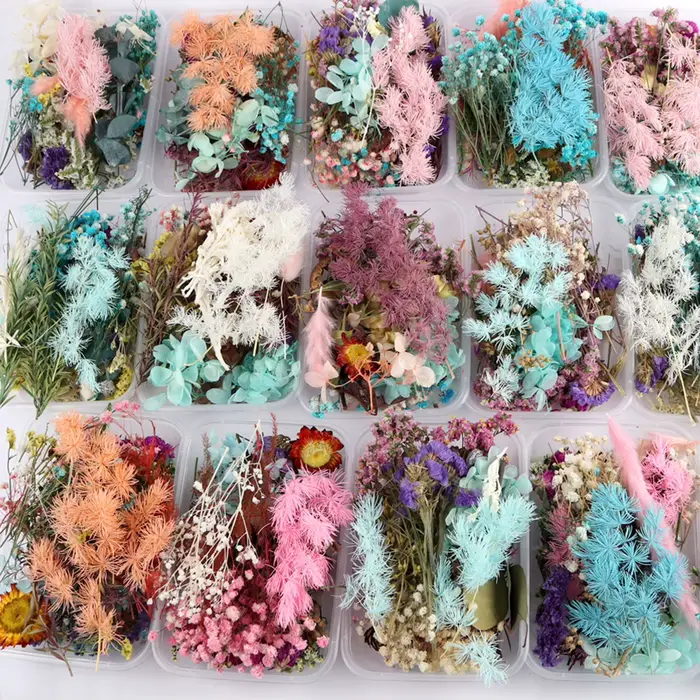 Véritables boîtes de fleurs séchées pour l'aromathérapie