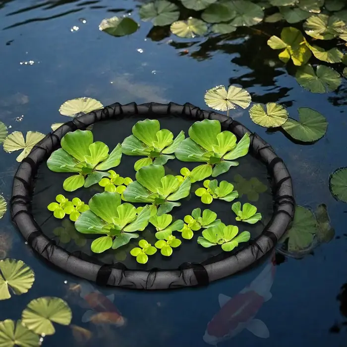 Barrière de poisson de protection de plante d'île flottante de tendance chaude pour le jardin d'étang de caractéristiques d'eau