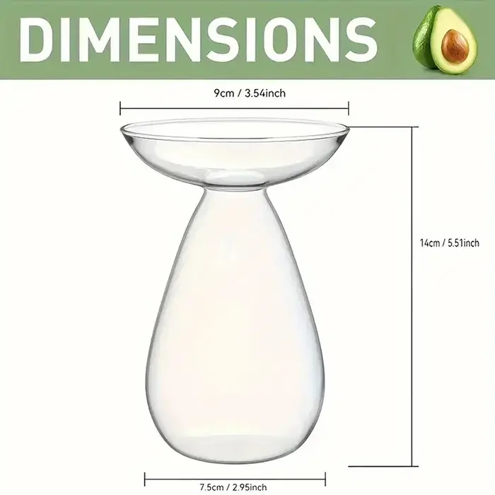 Vase en verre coloré en forme d'avocat - Jardinière hydroponique transparente pour la germination des graines