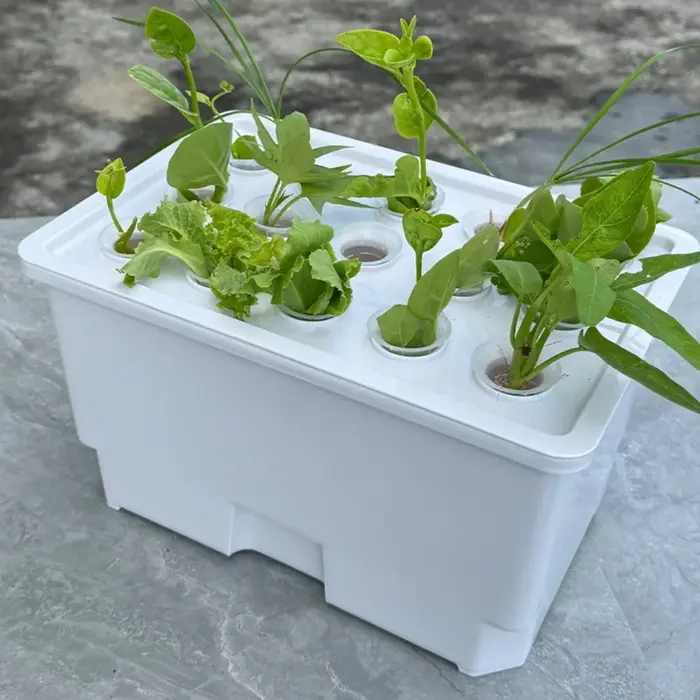 Système de surveillance de la croissance des plantes pour boîtes de plantation aquatiques sur comptoirs