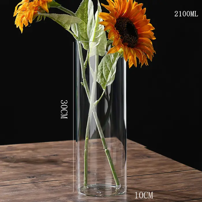 Vase à fleurs hydroponique moderne à petits intervalles