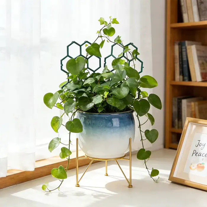 Support pour Plantes Grimpantes pour Balcon