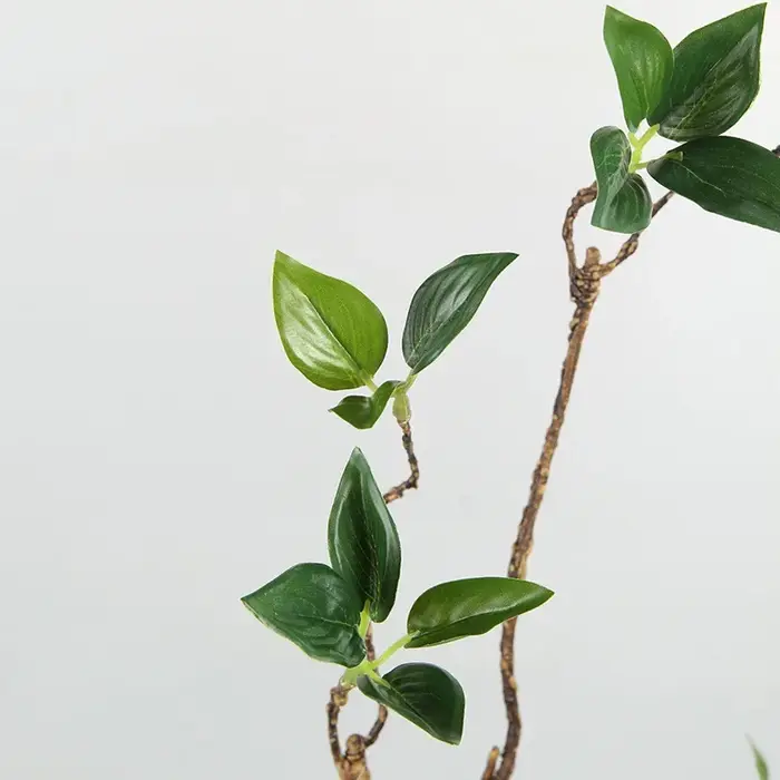 Plantes Vertes Artificielles