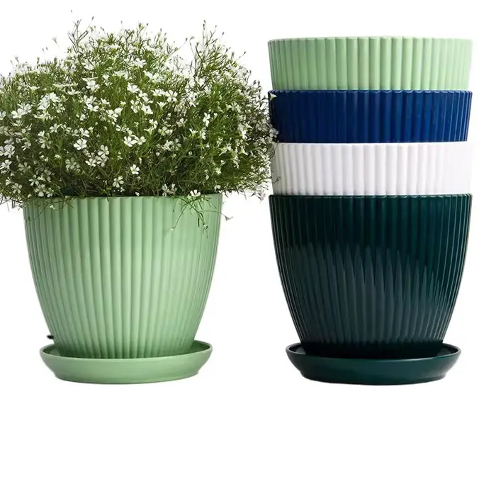 Petit pot à succulentes