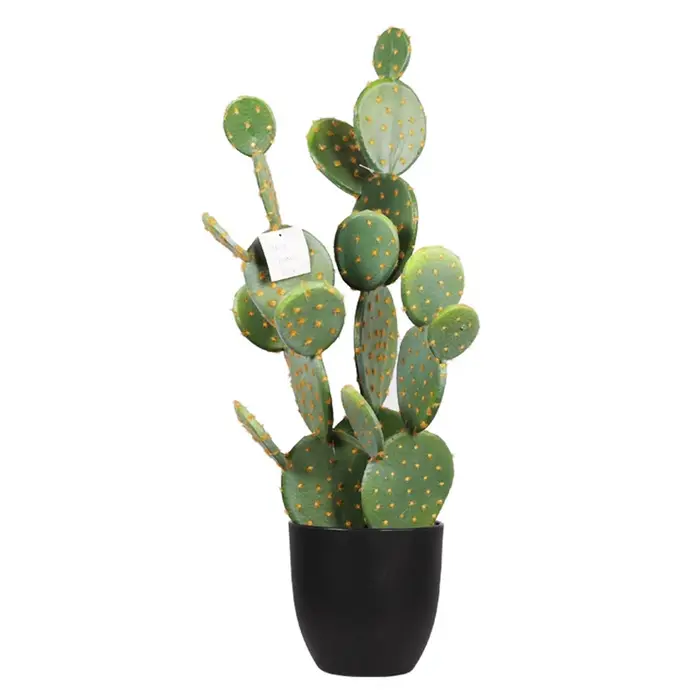 Cactus Plante Succulente Artificielle