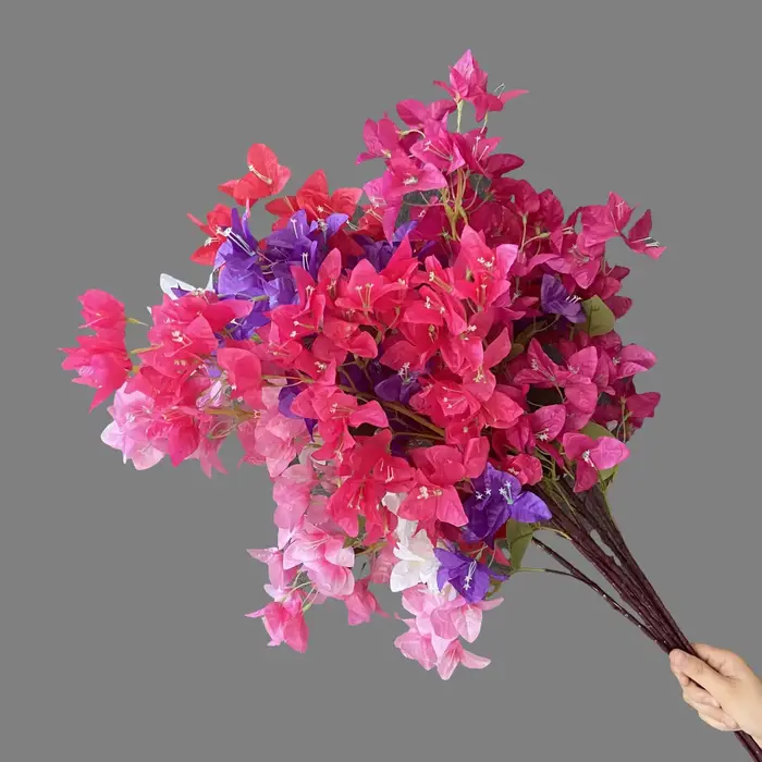 Simulation de Bouquet de bougainville