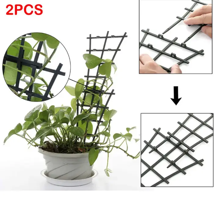 Ligne de poteau de Support d'escalade de plantes
