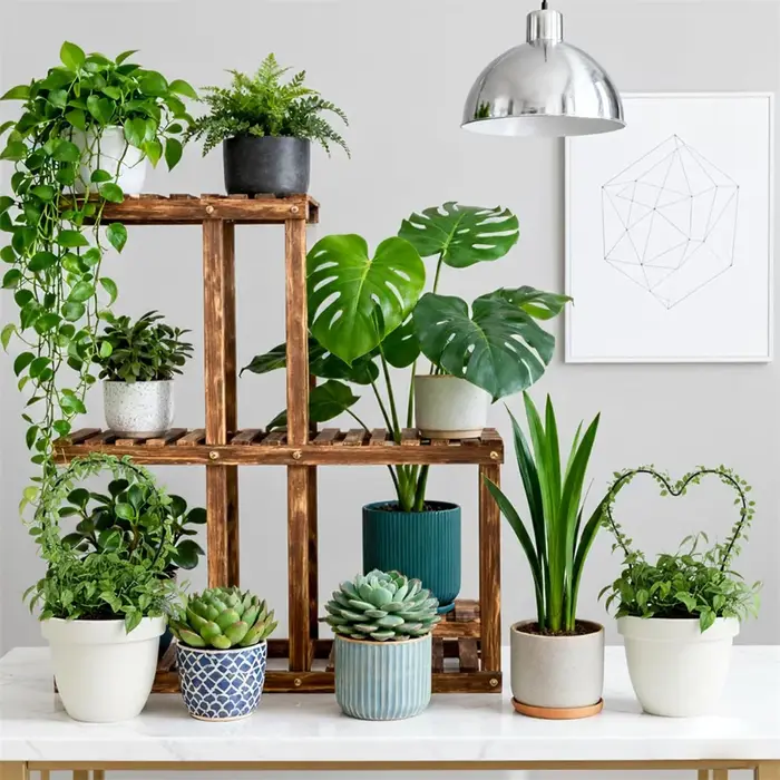 Trellis pour plantes d'intérieur