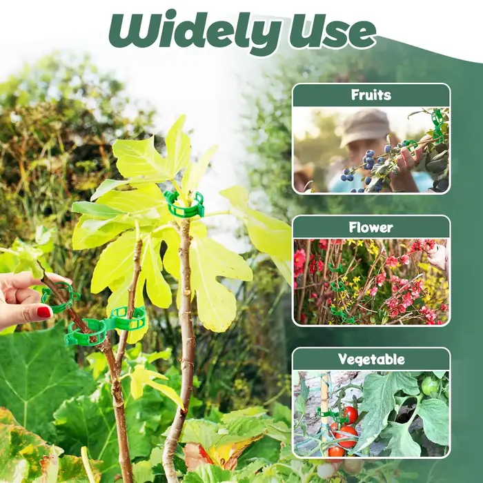 Clips de Support pour plantes-Clips à tomates pour treillis de ficelle