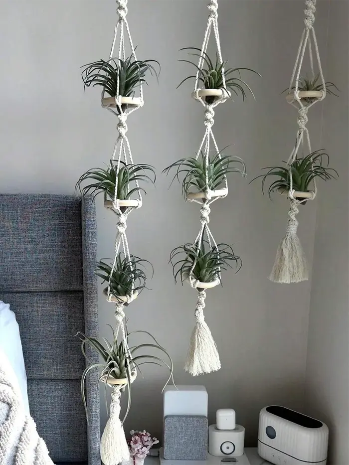 Cintres Muraux en Macramé pour Plantes à Air