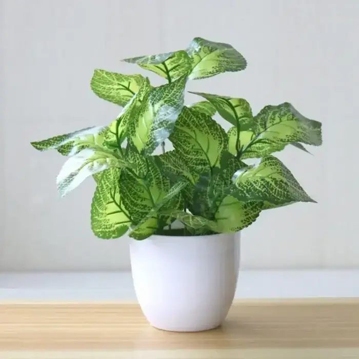 Plante bonsaï artificielle réaliste-fausse