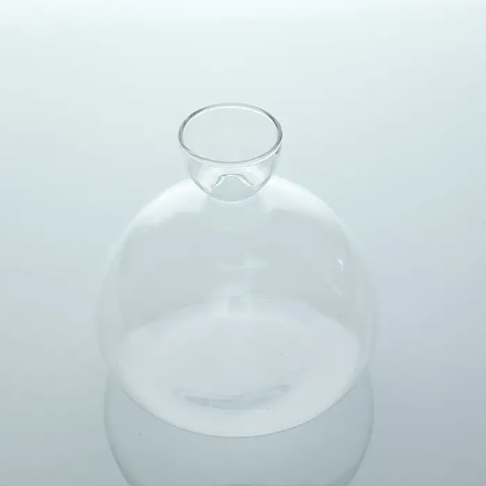 Vase de démarrage de graines d'avocat